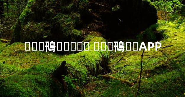 ���鳵�⳵�۸� ���鳵�⳵APP